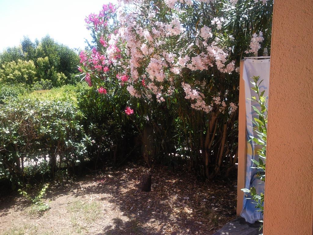 דירות Monolocale San Teodoro חדר תמונה